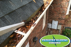 gutter_cleaning_concord_nc-1